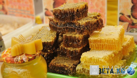 Новости России — сегодня 14 августа 2016