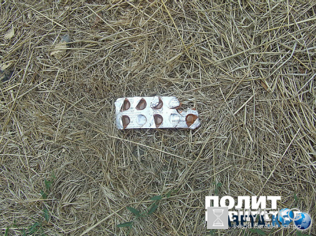 Обратная сторона штанов Саакашвили