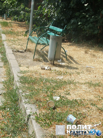 Обратная сторона штанов Саакашвили