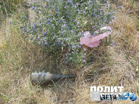 Обратная сторона штанов Саакашвили