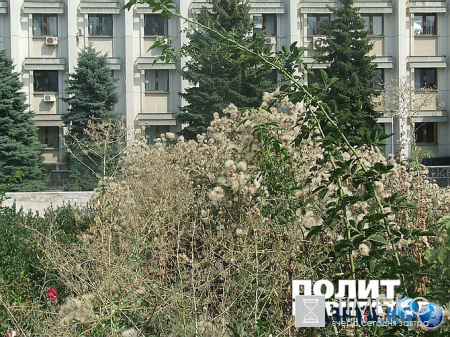 Обратная сторона штанов Саакашвили