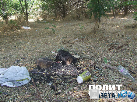 Обратная сторона штанов Саакашвили