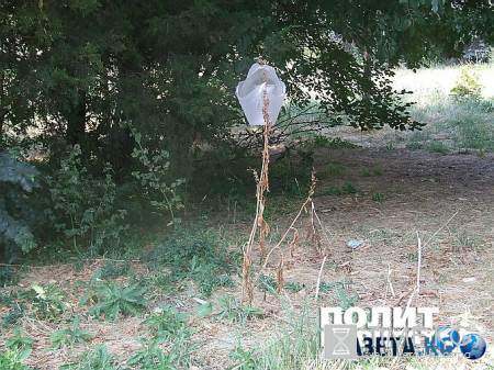 Обратная сторона штанов Саакашвили