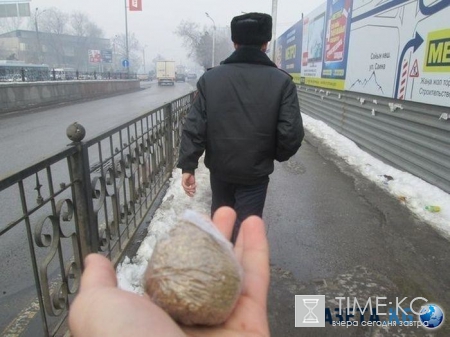 Опасность — моё второе имя