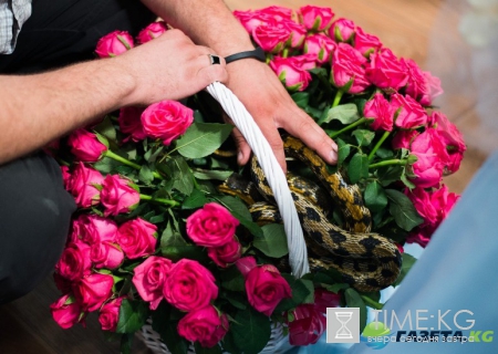 «Певица»: павлины, ослики и живые «трупы» на съемках сериала