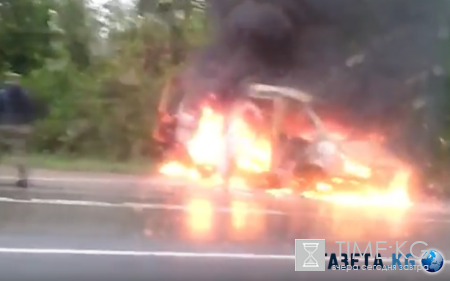 Под Липецком в страшном ДТП погибла сотрудница ЦРБ - видео горящей «Газели» шокирует