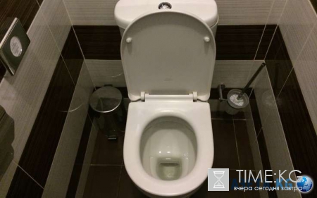 Под Москвой полиция задержала девушку, слишком долго сидевшую в туалете