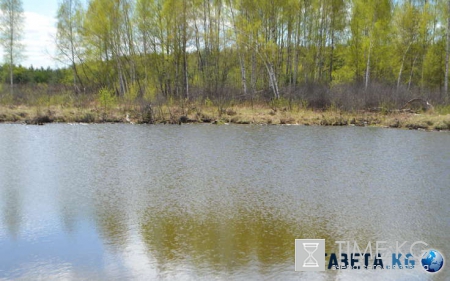 Под Омском обнаружили утонувший в озере внедорожник с двумя трупами внутри