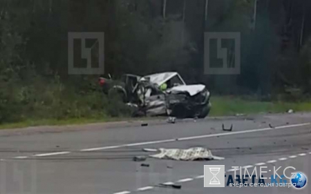 Под Петербургом в чудовищном ДТП погибли два человека - месячный малыш чудом выжил