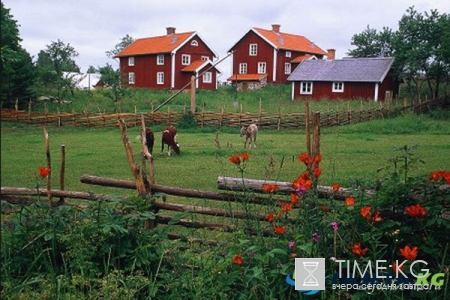 Прогулка по Швеции: северная романтика