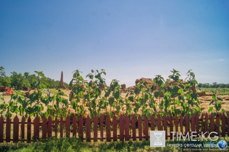 Русский Египет взорвал интернет (фото)