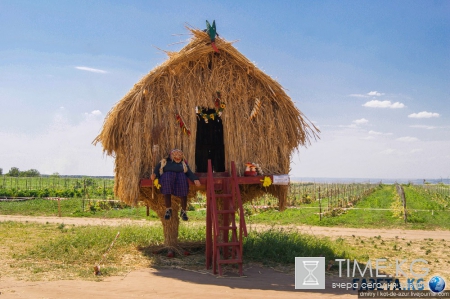 Русский Египет взорвал интернет (фото)