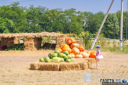 Русский Египет взорвал интернет (фото)