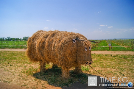Русский Египет взорвал интернет (фото)