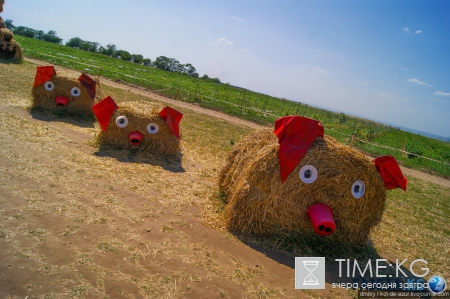 Русский Египет взорвал интернет (фото)