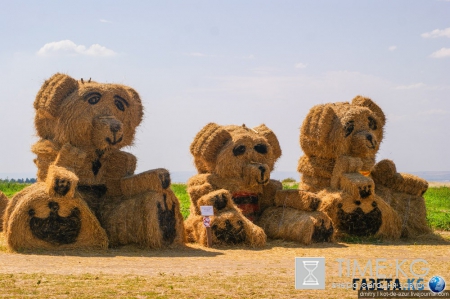 Русский Египет взорвал интернет (фото)