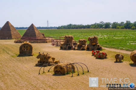 Русский Египет взорвал интернет (фото)