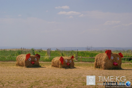 Русский Египет взорвал интернет (фото)