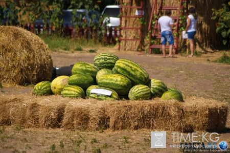 Русский Египет взорвал интернет (фото)