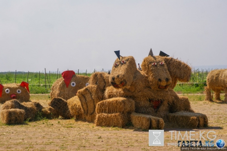 Русский Египет взорвал интернет (фото)