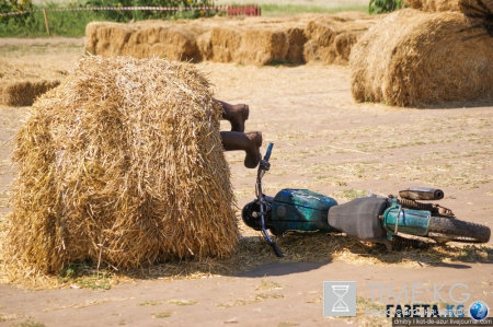 Русский Египет взорвал интернет (фото)