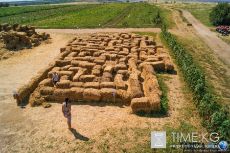Русский Египет взорвал интернет (фото)