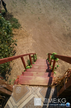 Русский Египет взорвал интернет (фото)