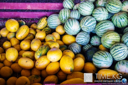 Русский Египет взорвал интернет (фото)