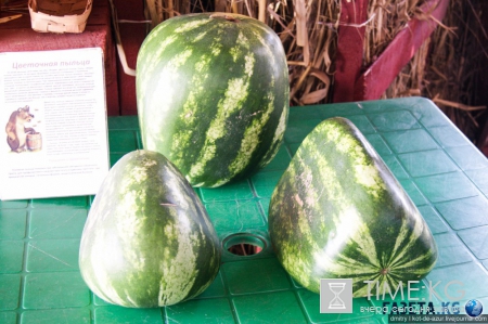 Русский Египет взорвал интернет (фото)