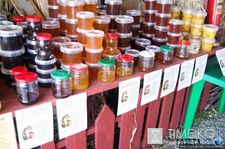 Русский Египет взорвал интернет (фото)