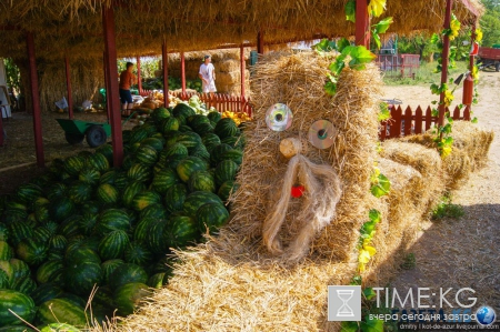 Русский Египет взорвал интернет (фото)