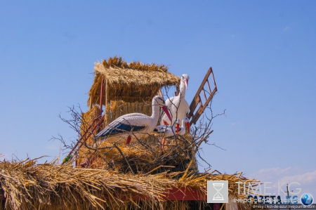 Русский Египет взорвал интернет (фото)