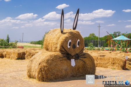 Русский Египет взорвал интернет (фото)