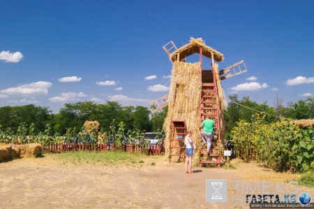 Русский Египет взорвал интернет (фото)