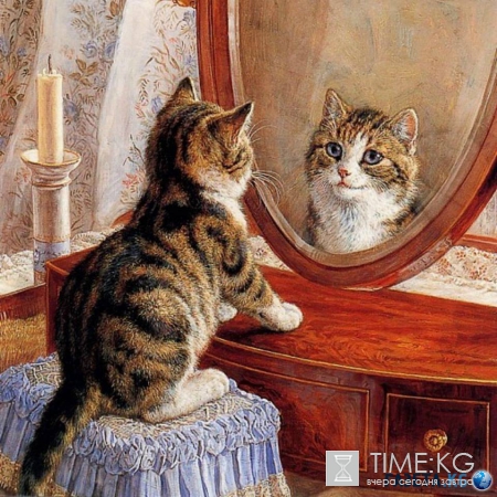 Сегодня Всемирный день кошек. Не забудьте его отпраздновать!