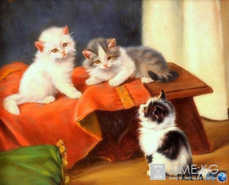 Сегодня Всемирный день кошек. Не забудьте его отпраздновать!