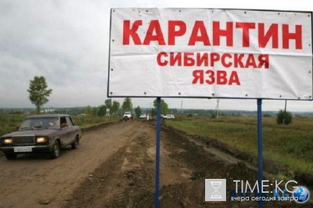 Сибирская язва, африканская чума… Американские биолаборатории сделали свой шаг против России.