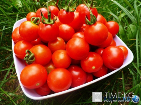 ТОП-5 продуктов, которые нельзя хранить в холодильнике