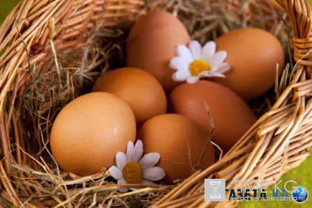 ТОП-5 продуктов, которые необходимы нашему мозгу