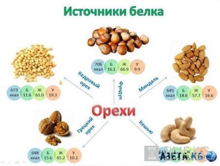 Учёные открыли секрет продолжительной жизни при помощи правильного питания