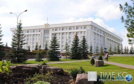 В Башкортостане живут двойники Обамы, Плющенко, Джоли, Орбакайте и Бони