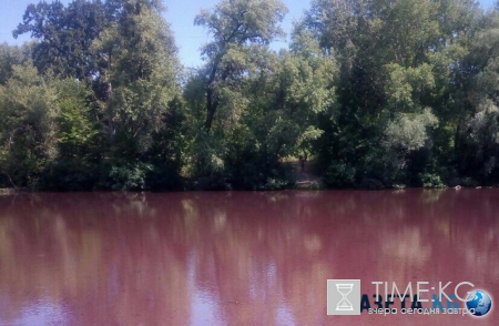 Вода в столичной реке стала ярко-красной (фото)