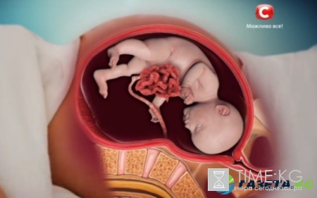 За живе-3: смотреть выпуск онлайн (эфир от 29.08.2016)