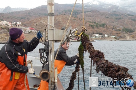 Задушили санкциями, да не тех? Россия возрождается, Европа загибается…