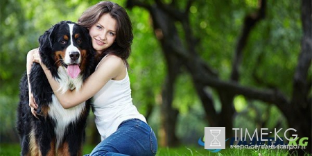 Зоотерапия или как нас лечат животные