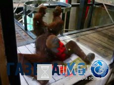 Топ 10 самых красивых станций метро в мире Топ 10 самых красивых станций метро в мире