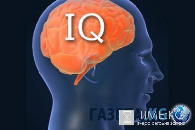 Ученые увидели связь между ленью и высоким IQ