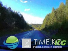 Знаменитости, подвергшиеся домашнему насилию Знаменитости, подвергшиеся домашнему насилию