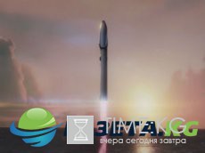 20 финалистов конкурса смешных фото дикой природы 20 финалистов конкурса смешных фото дикой природы