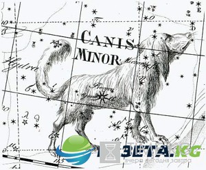 Наши лонгриды. Потрясающий рассказ “СОЗВЕЗДИЕ ПСОВ”.